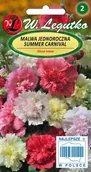 Nasiona i cebule - Malwa jednoroczna - Summer Carnival - mieszanka - miniaturka - grafika 1