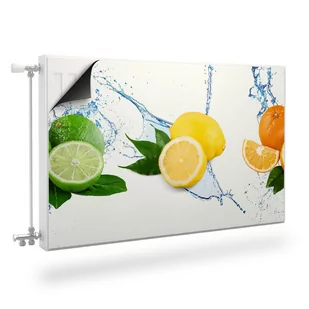 MASKOWNICA Magnetyczna Grzejnika Cytrusy Woda Owoce 120cm x 60cm - Dekoracje domu MASKOWNICA Magnetyczna Grzejnika Cytrusy Woda Owoce 120cm x 60cm - Dekoracje domu - miniaturka - grafika 1