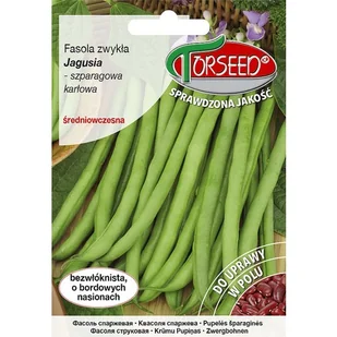 TORSEED nasiona FASOLA SZPARAGOWA ŚREDNIO WCZESNA ZIELONA JAGUSIA 30 G - Nasiona i cebule - miniaturka - grafika 1