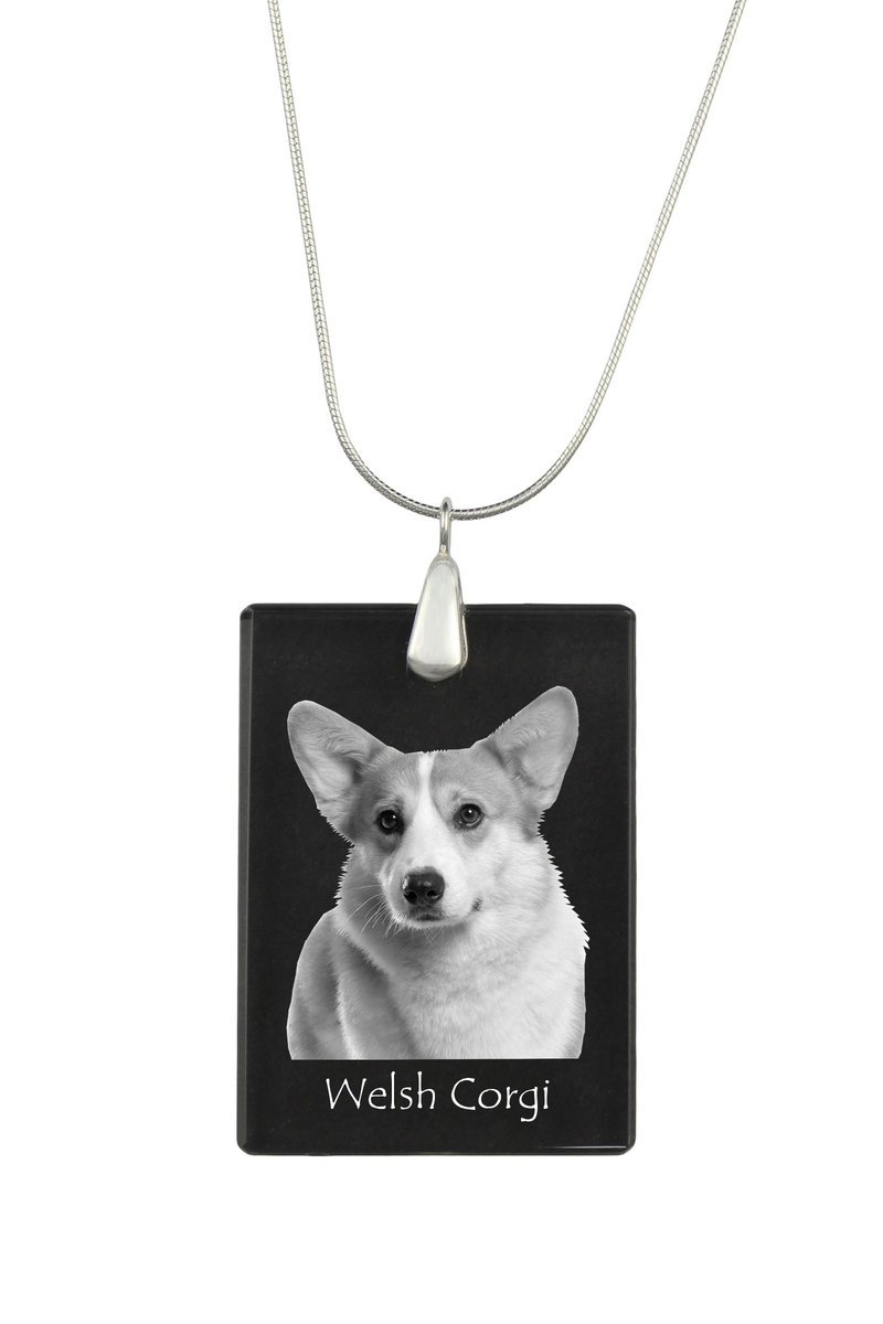 Pembroke Welsh Corgi - kryształowa zawieszka z psem, srebrny naszyjnik ze zdjęciem, personalizowany wisiorek marki Art-Dog
