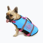 Windsurfing - Kamizelka asekuracyjna dla psa Jetpilot Dog Vest blue - miniaturka - grafika 1