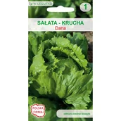 Nasiona i cebule - Sałata krucha Dana nasiona W.Legutko - miniaturka - grafika 1