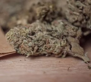 Susz konopny z CBD Remedium Lemon Zkittle 17.4% - Zioła - miniaturka - grafika 1