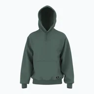 Bluzy męskie - Bluza męska Vans Original Standards Loose Pullover dark forest - miniaturka - grafika 1