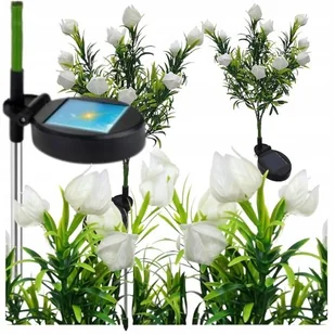 Lampa solarna ogrodowa lampka kwitnąca biała łąka zestaw 2 szt miechunka - Lampy ogrodowe - miniaturka - grafika 1