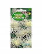 Nasiona i cebule - Aster igiełkowy Biały Jubileusz 1 g POLAN - miniaturka - grafika 1