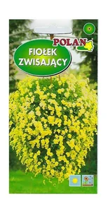 Fiołek zwisający żółty 0,3 g POLAN - Nasiona i cebule - miniaturka - grafika 1