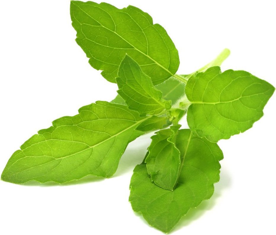 Click And Grow Click & Grow Smart Garden refill Holy Basil 3pcs