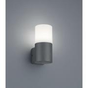 Lampy ogrodowe - Trio Hoosic Antracyt IP44 E27 Kinkiet zewnętrzny 224060142 224060142 - miniaturka - grafika 1