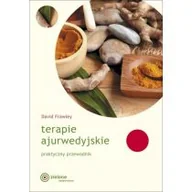 Powieści i opowiadania - David Frawley Terapie ajurwedyjskie. Praktyczny przewodnik - miniaturka - grafika 1