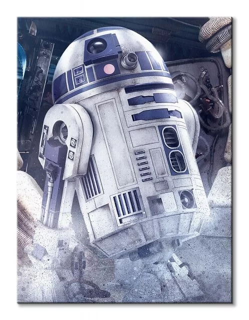 Pyramid Posters Star Wars: The Last Jedi (R2-D2 Droid) - obraz na płótnie 60x80 WDC100183