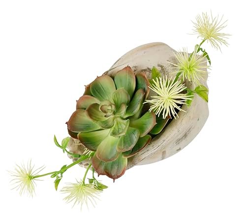 Flair Flower Sztuczna aranżacja sukulentów, agawa, aloes, juka, sanseveria, kaktusy, sztuczny mech, kaktus, roślina pokojowa, roślina stołowa, sztuczny kwiat w muszli