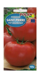 Pomidor gruntowy Saint - Pierre 0,5 g POLAN - Nasiona i cebule - miniaturka - grafika 1