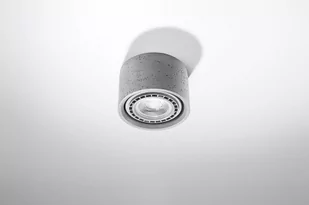 Sollux Lighting Plafon BASIC 1 beton - Lampy sufitowe - miniaturka - grafika 1