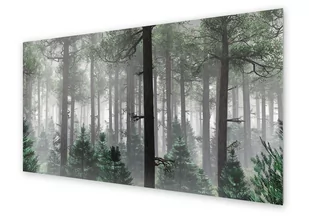 Panel kuchenny HOMEPRINT Mglisty las o poranku 120x60 cm - Dekoracje domu - miniaturka - grafika 1