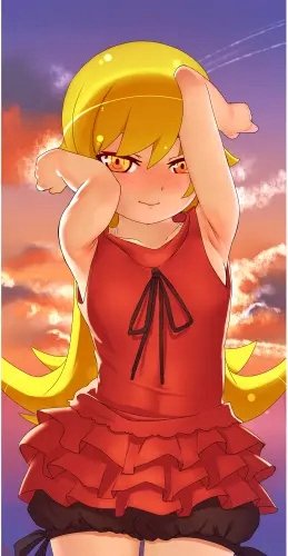 Plakat Anime Bakemonogatari bm_116 A3 (custom)