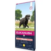 Sucha karma dla psów - Eukanuba Caring Senior Large Breed 15 kg - miniaturka - grafika 1