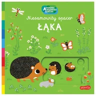 Komiksy dla dzieci - Książeczka Ruchowa Łąka. Akademia Mądrego Dziecka. - miniaturka - grafika 1