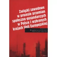 Historia świata - Związki zawodowe w procesie przemian społeczno-gospodarczych w Polsce i wybranych krajach Unii Europejskiej - Śląsk - miniaturka - grafika 1