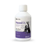 Suplementy i witaminy dla psów - Lab-v Hepasil Dog & Cat preparat na poprawę funkcjonowania wątroby dla psa i kota 250 ml - miniaturka - grafika 1