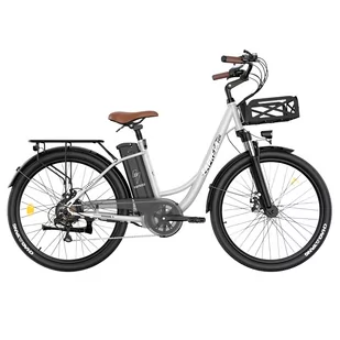 Rower elektryczny Fafrees F26 Lasting, silnik 250W, bateria 36V 20,3Ah, opony 26*1,95 cali, maks. prędkość 25km/h - Szary - Rowery elektryczne - miniaturka - grafika 1