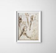 Plakaty - Plakat w stylu vintage Mięśnie kończyn górnych Da Vinci - miniaturka - grafika 1