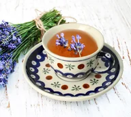 Filiżanki - FILIŻANKA I SPODEK CERAMIKA BOLESŁAWIEC Ø 10,2/14,2 cm V 0,11 L GU716DEK41 - miniaturka - grafika 1