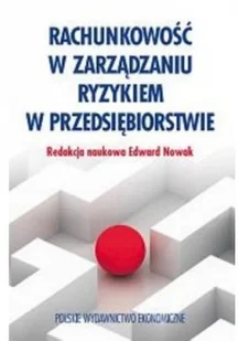 Rachunkowość w zarządzaniu ryzykiem w przedsiębiorstwie - Podręczniki dla szkół wyższych - miniaturka - grafika 2