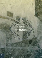 Powieści - Międzyrzecz - Piotr Kalwas - miniaturka - grafika 1