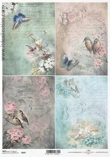 Papier ryżowy ITD A4 R979 ptaki motyle - Decoupage - miniaturka - grafika 1