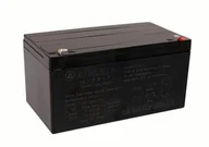 Pojazdy elektryczne dla dzieci - Akumulator Żelowy AGM Do Pojazdu Na Akumulator 24V10AH - miniaturka - grafika 1
