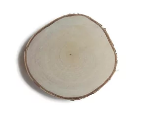 Plaster Drewna Brzoza Szlifowana 17 - 20 Cm / 2 Cm Plastry Drewna - Dekoracje domu - miniaturka - grafika 1