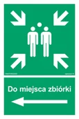 Systemy ekspozycyjne i znaki informacyjne - AC041 DO MIEJSCA ZBIÓRKI W LEWO, PS - PŁYTA PCV 1MM FOTOLUMINESCENCYJNA; (500X750MM) - miniaturka - grafika 1