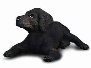 Collecta Figurka LABRADOR SZCZENIAK 004-88077 - Figurki dla dzieci - miniaturka - grafika 1