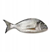 Konserwy i dania rybne - Dorada patroszona wędzona świeża ryba - miniaturka - grafika 1