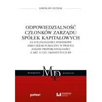Odpowiedzialność członków zarządu spółek kapitałowych za ich zaległości podatkowe jako ciężar publiczny | ZAKŁADKA DO KSIĄŻEK GRATIS DO KAŻDEGO... - Prawo - miniaturka - grafika 1