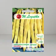 Nasiona i cebule - Nasiona Fasola zwykła Galopka 40g - W.Legutko - miniaturka - grafika 1