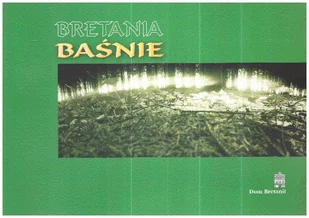 BRETANIA BASNIE - Poezja - miniaturka - grafika 1