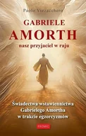 Religia i religioznawstwo - Gabriele Amorth nasz przyjaciel w raju - miniaturka - grafika 1