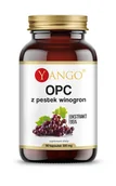 Witaminy i minerały - Yango OPC 95% ekstrakt z pestek winogron 90 kaps. Yango 9395-73909 - miniaturka - grafika 1