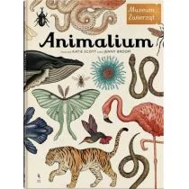 Dwie siostry Animalium. Muzeum Zwierząt - JENNY BROOM