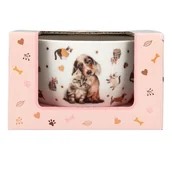 Miseczki i talerzyki dla dzieci - Miseczka w ozdobnym pudełku Top Model Fur Ever Friends 13867a - miniaturka - grafika 1