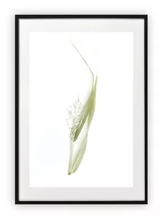 Plakat A4 21x30 cm  Kwiaty Rośliny Zieleń Natura    WZORY - Plakaty - miniaturka - grafika 1
