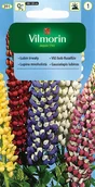 Nasiona i cebule - NASIONA KWIATY ŁUBINY MIESZANKA 2G VILMORIN 940 - miniaturka - grafika 1
