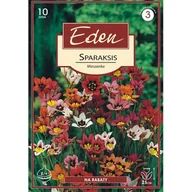 Nasiona i cebule - Sparaksis cebulki mix 10 sztuk Eden - miniaturka - grafika 1
