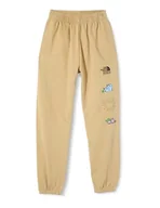 Spodnie męskie - The North Face Uniseks Mountain Cleanup Relaxed Spodnie Khaki Stone L - miniaturka - grafika 1