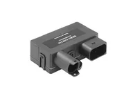 Akcesoria do układu elektrycznego - Sterownik, czas żarzenia Borgwarner (beru) GSE156 - miniaturka - grafika 1