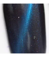 Lakiery do paznokci - Neess Magnetic Dust, pyłek ozdobny na paznokcie Niebieski, 1 g - miniaturka - grafika 1