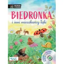 Biedronka i inni mieszkańcy łąki Książka z płytą CD Reichenstetter Friederun - Książki edukacyjne - miniaturka - grafika 1