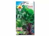 Nasiona i cebule - Palmy Mieszanka Palm Mixture - miniaturka - grafika 1
